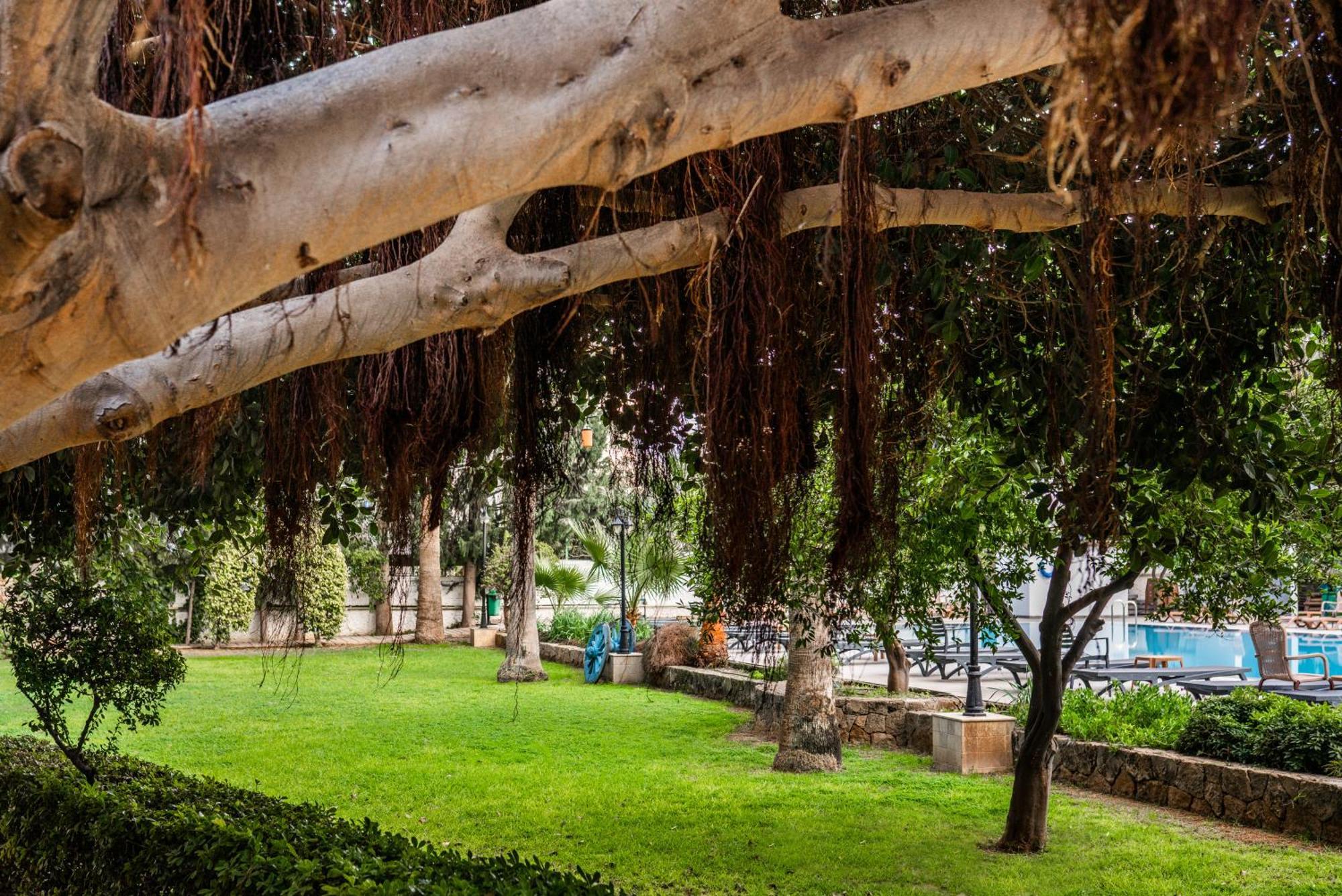 Hotel Pia Bella Kyrenia  Luaran gambar